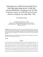 Ảnh hưởng của ô nhiễm kim loại nặng lên sự biến động năng lượng dự trữ và hoạt tính  enzyme glutathione S-transferase của cá Chép  (Cyprinus carpio) và cá Rô Phi (Oreochromis  niloticus) trong lưu vực sông Nhuệ - Đáy