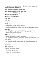 GIÁO ÁN TẠO HÌNH- PHƯỢNG 91