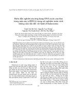 Bước đầu nghiên cứu ứng dụng DNA tự do của thai  trong máu mẹ (cffDNA) trong xét nghiệm trước sinh  không xâm lấn đối với bệnh β-thalassemia