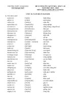 tải đề cương ôn tập  môn tiếng anh 11  hệ 7 năm bài 910 tại đây   de cuong on tap av117nunit