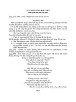 Luyện đề thi Ngữ Văn 9 (thời gian nghỉ dịch)