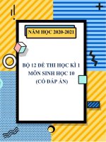 Bộ 12 đề thi học kì 1 môn Sinh học 10 năm 2020-2021 (Có đáp án)