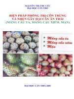 Biện Pháp Phòng Trị Côn Trùng Và Nhện Gây Hại Cây Ăn Trái-Mãng Cầu & Mận
