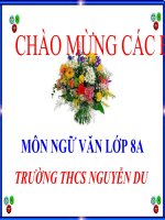 Bài giảng trực tuyến Ôn tập văn bản thuyết minh