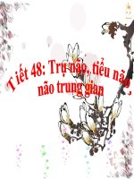 Trụ não, tiểu não, não trung gian