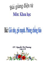 Bài: Gió nhẹ, gió mạnh. Phòng chống bão - Khoa học 4