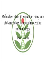 Giới thiệu về hệ thống miễn dịch