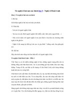 Tải Tả nghệ sĩ hài mà em thích - Nghệ sĩ Hoài Linh - Văn mẫu tả người lớp 5