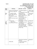 Bé thích đi bằng phương tiện giao thông gì