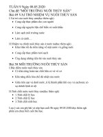 Tải file đính kèm: tuan_908out_85202012