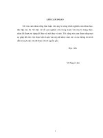 Thực trạng và một số giải pháp để nâng cao hiệu quả sử dụng vốn đầu tư từ ngân sách nhà nước của thành phố hạ long 