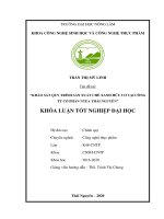 (Khóa luận tốt nghiệp) Khảo sát quy trình sản xuất chè xanh hữu cơ tại Công ty Cổ phần Ntea Thái Nguyên