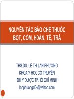 Nguyên tắc bào chế thuốc bột - cốm - hoàn - tễ - trà