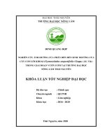 (Khóa luận tốt nghiệp) nghiên cứu ảnh hưởng của hỗn hợp ruột bầu đến sinh trưởng của cây con lôi khoai (gymnocladus angustifolia (gagn ) j e  vid ) trong giai đoạn vườn ươm tại trường đại học nông lâm thái nguyên