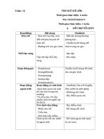 giáo án tuần 18 : Động vật sống trong rừng