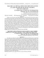 Nhận diện các trở ngại trong phát triển rừng gỗ lớn của nông hộ trên địa bàn huyện Nam Đông, tỉnh Thừa Thiên Huế