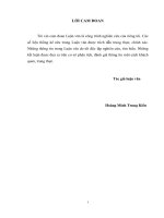 Một số giải pháp nhằm hoàn thiện công tác quản trị rủi ro tín dụng tại ngân hàng tmcp quốc tế việt nam (vib) 