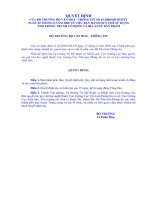 Quyet dinh 63 - 2006 ve su dung tranh lam trang bia