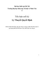 Tiểu luận cuối kỳ môn Lý thuyết quyết định