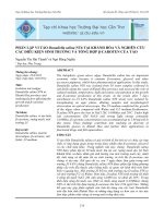 PHÂN LẬP VI TẢO DUNALIELLA SALINA NT6 TẠI KHÁNH HÒA VÀ NGHIÊN CỨU CÁC ĐIỀU KIỆN SINH TRƯỞNG VÀ TỔNG HỢP ?-CAROTEN CỦA TẢO