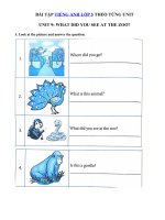Tải Bài tập ngữ pháp tiếng Anh lớp 5 Unit 9 What did you see at the zoo? - Ôn tập tiếng Anh 5 theo từng Unit có đáp án