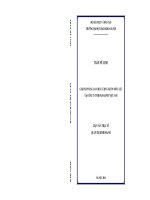 Giải pháp nâng cao chất lượng nguồn nhân lực tại công ty tnhh panasonic việt nam  