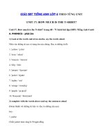 Tải Giải bài tập SBT Tiếng Anh lớp 4 Unit 17: How much is the T-shirt? - Lời giải sách bài tập Tiếng Anh lớp 4 Unit 17