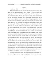 Đánh giá thực trạng và đề xuất giải pháp xây dựng mô hình nông thôn mới trên địa bàn tỉnh quảng ninh 