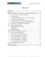 Sự lựa chọn cấu trúc vốn của các công ty cổ phần niêm yết việt nam trong giai đoạn khủng hoảng tài chính 