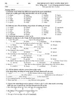 Đề thi học kỳ I năm 2019 Tiếng Anh 6_hệ 10 năm