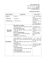 Giáo án phụ tuần 19 - Động vật sống dưới nước