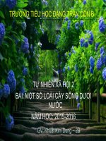 Bài 26: Một số loài cây sống dưới nước