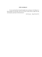 Các giải pháp hoàn thiện quản trị nguồn nhân lực của công ty cổ phần đầu tư và thương mại trí đức 