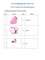 Tải Bài tập từ vựng tiếng Anh lớp 4 Unit 13 Would you like some milk? - Ôn tập tiếng Anh 4 theo từng Unit có đáp án