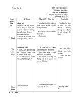 Giáo án phụ tuần 19 - Động vật sống dưới nước