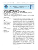 LốI SốNG Và VAI TRò CủA LốI SốNG  TRONG QUá TRìNH CÔNG NGHIệP HóA NÔNG THÔN  QUA KHảO SáT ĐịNH LƯợNG Ở HUYệN THANH BìNH, TỉNH ĐồNG THáP