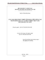 Các giải pháp phát triển tín dụng tiêu dùng tại ngân hàng đầu tư và phát triển việt nam chi nhánh cầu giấy 