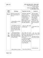 giáo án tuần 18 : Động vật sống trong rừng