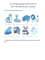 Tải Bài tập từ vựng tiếng Anh lớp 5 Unit 9 What did you see at the zoo? - Ôn tập tiếng Anh 5 theo từng Unit có đáp án