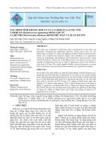 Xác định tính kháng khuẩn của vi khuẩn lactic với vi khuẩn (Streptococcus agalactiae) phân lập từ cá rô phi (Oreochromis niloticus) bệnh phù mắt và xuất huyết