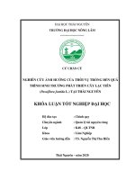 (Khóa luận tốt nghiệp) Nghiên cứu ảnh hưởng của thời vụ trồng đến quá trình sinh trưởng phát triển cây Lạc tiên (Passiflora foetida L.) tại Thái Nguyên