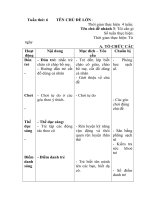 Giáo án phụ tuần 19 - Động vật sống dưới nước