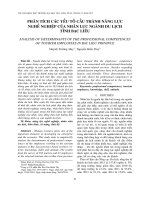 PHÂN TÍCH CÁC YẾU TỐ CẤU THÀNH NĂNG LỰC NGHỀ NGHIỆP CỦA NHÂN LỰC NGÀNH DU LỊCH TỈNH BẠC LIÊU