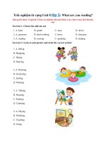 Tải Trắc nghiệm từ vựng Unit 8 lớp 5: What are you reading? - Từ vựng tiếng Anh lớp 5 Unit 8 có đáp án