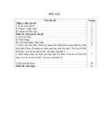 Cô giáo Nguyễn Hoàng Lê - GV lớp 5D - SKKN: Nâng cao hiệu quả dạy-học dạng toán “Tìm hai số khi biết hiệu và tỉ số của hai số đó