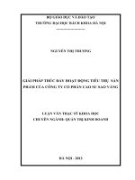 Giải pháp thúc đẩy hoạt động tiêu thụ sản phẩm của công ty cổ phần cao su sao vàng 