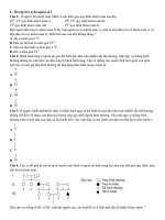 Câu hỏi và bài tập có đáp án chi tiết về di truyền học ở người luyện thi THPT quốc gia phần 11 | Lớp 12, Sinh học - Ôn Luyện