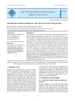 . Identification of shallot pathogens in Vĩnh Châu town of Sóc Trăng province