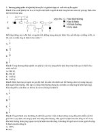 Câu hỏi và bài tập có đáp án chi tiết về di truyền học ở người luyện thi THPT quốc gia phần 21 | Lớp 12, Sinh học - Ôn Luyện