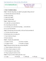 Đề kiểm tra 1 tiết môn Ngữ Văn 6 trắc nghiệm tự luận